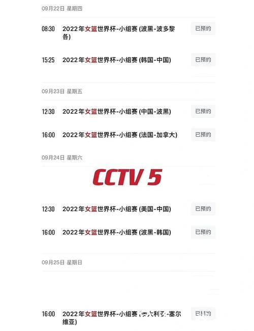 世界杯直播入口分析与对比指南